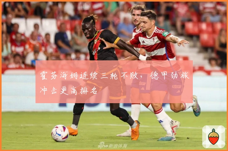 霍芬海姆连续三轮不败，德甲劲旅冲击更高排名