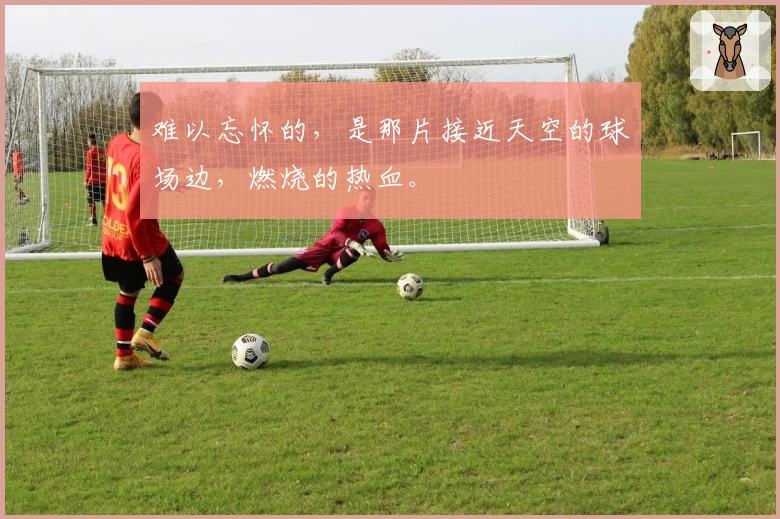 难以忘怀的，是那片接近天空的球场边，燃烧的热血。